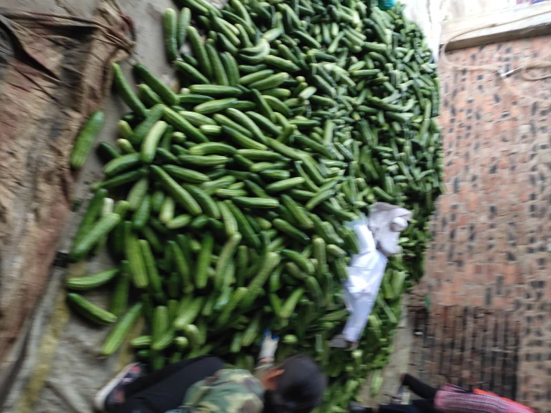 弧瓜大量上市中货好新鲜口感好还有其它蔬菜
