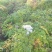 辽搞本