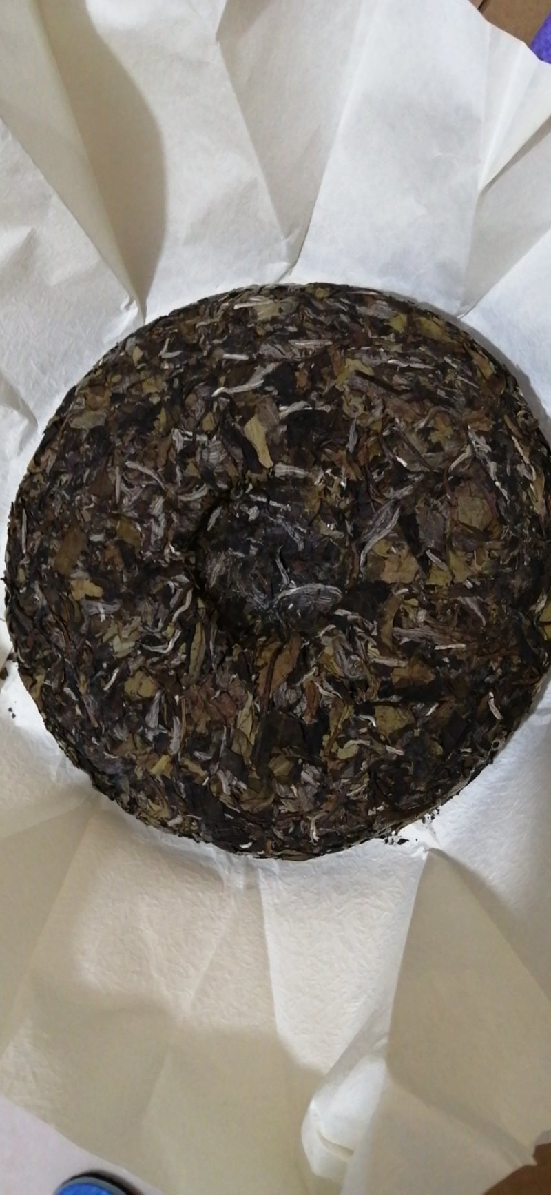 福鼎白茶