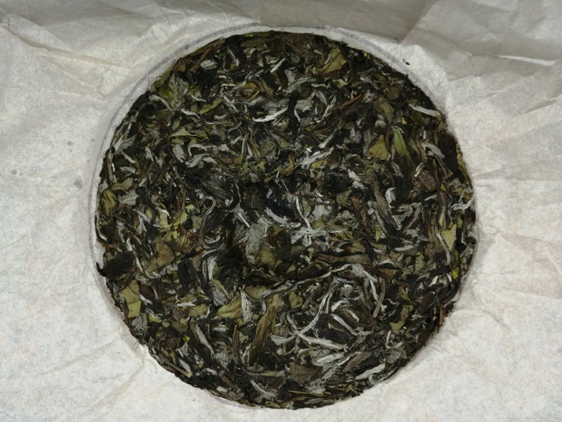 福鼎白茶