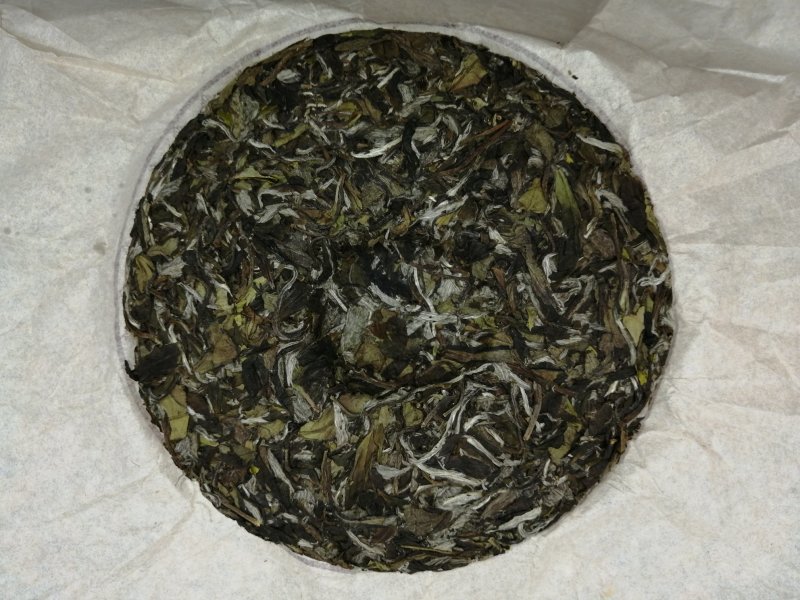 福鼎白茶