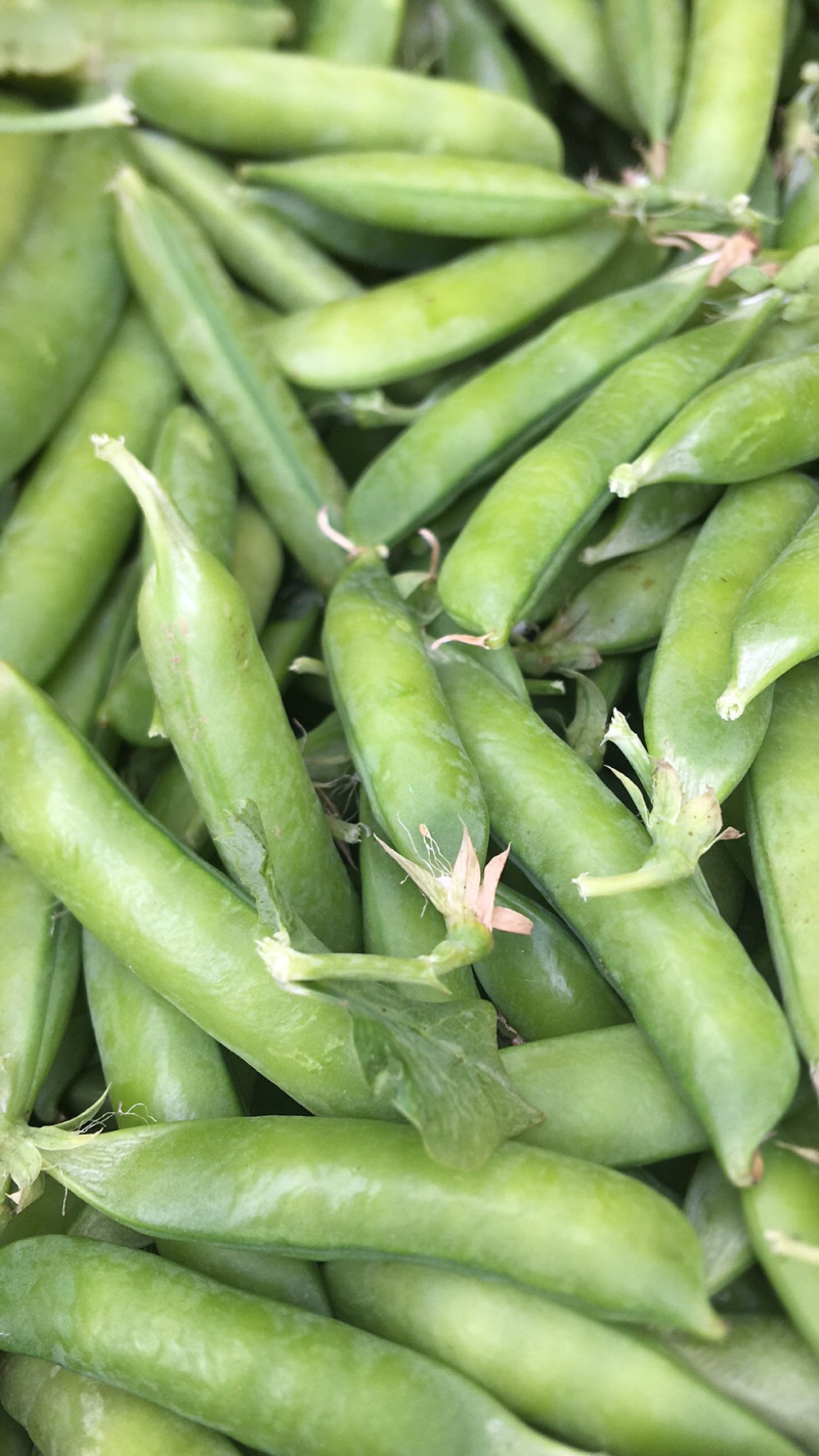 豌豆荚豌豆甜豌豆干豌豆籽籽颗粒饱满支持代发