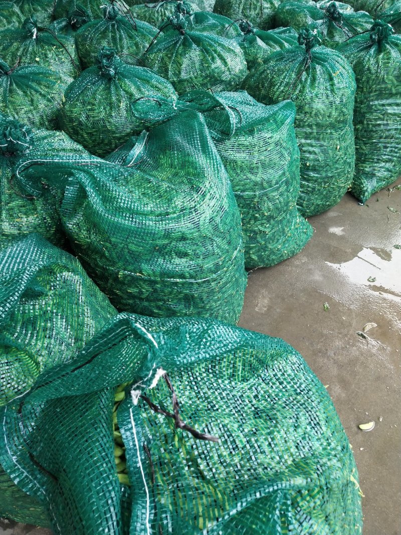 毛豆大量上市了棵立饱满提供返程车。