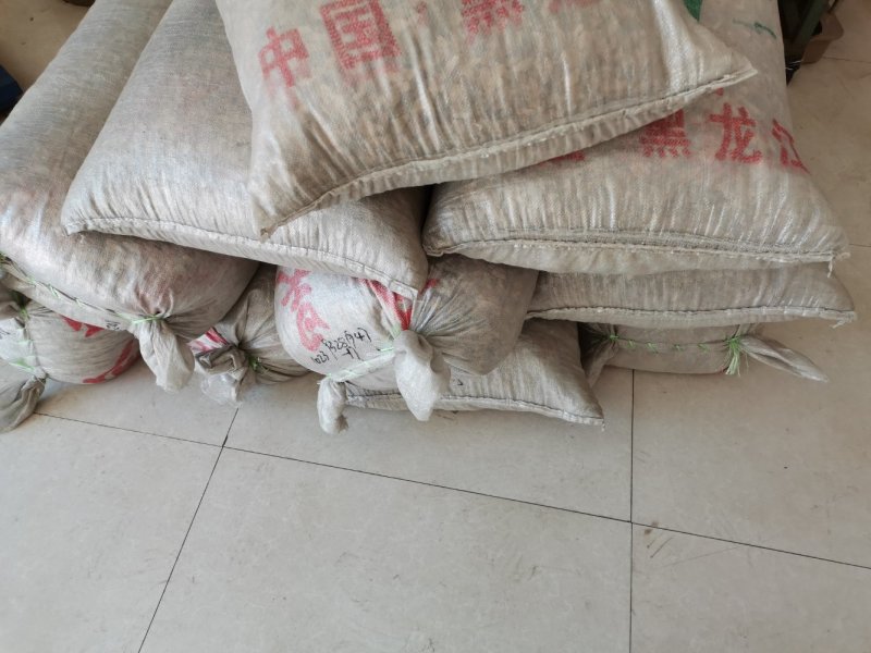 产地油麻藤种子河北亿利种业拳头产品，质量好才是硬道理。