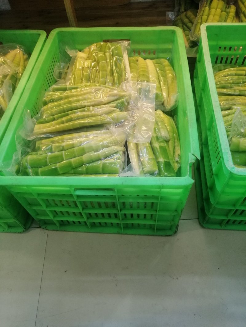 陕西安康野山笋鲜笋净菜上车保鲜发货按需分拣打包供应餐饮酒店
