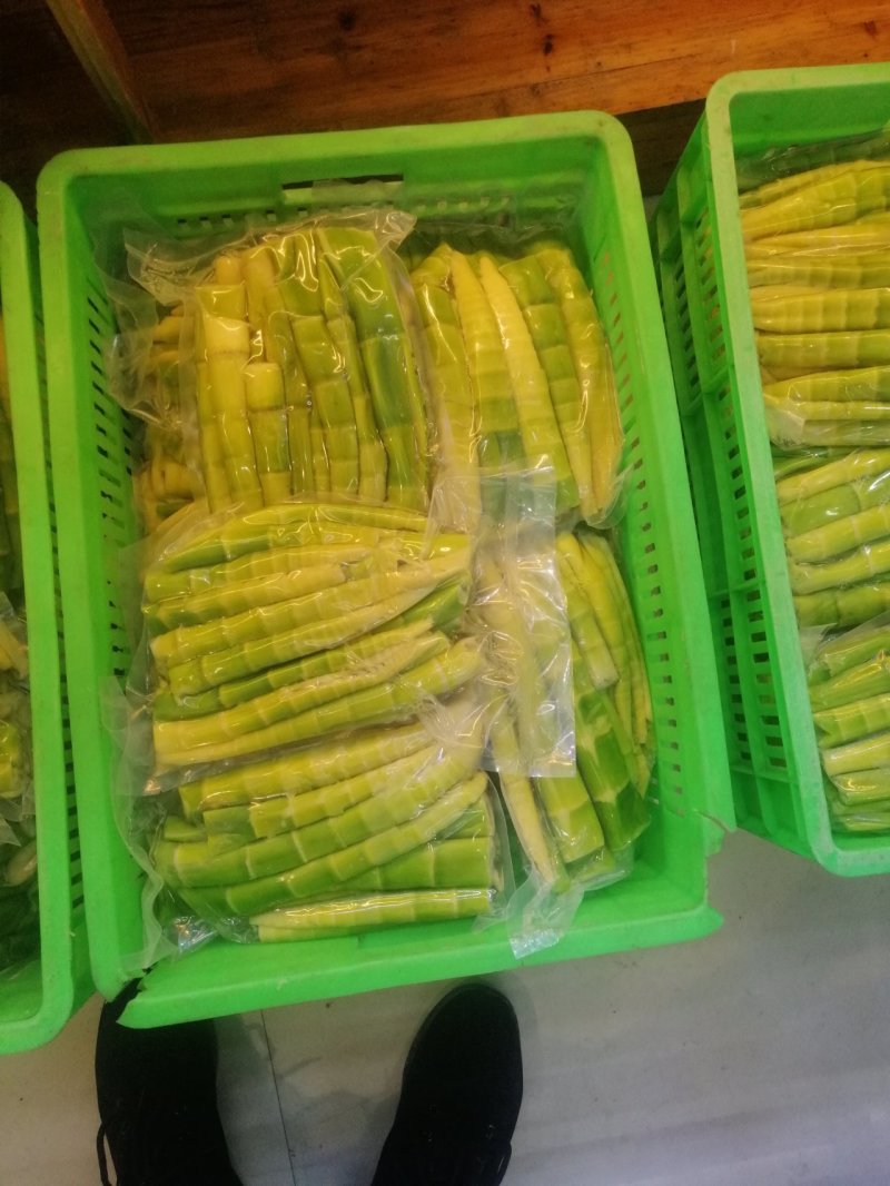 陕西安康野山笋鲜笋净菜上车保鲜发货按需分拣打包供应餐饮酒店