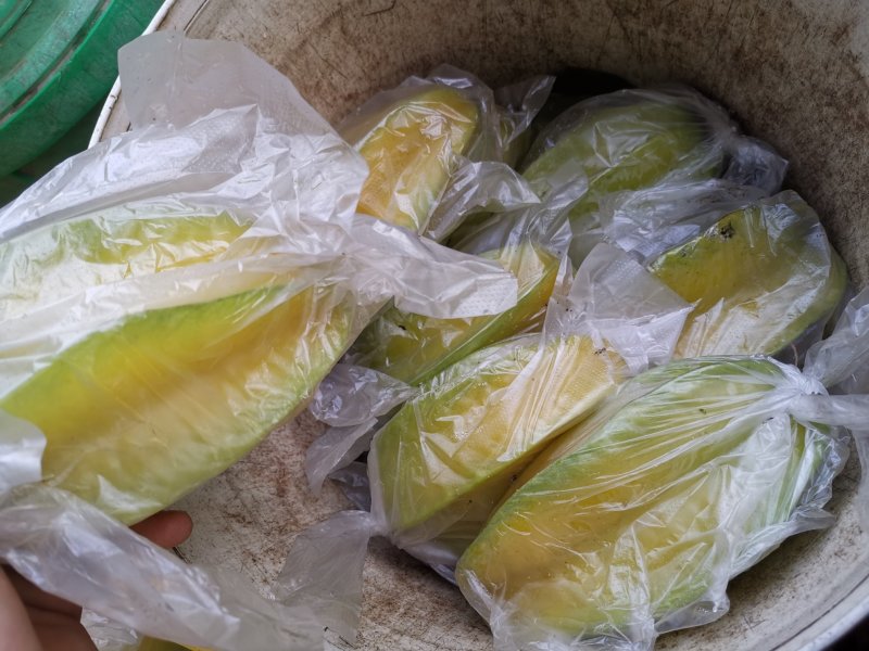 清甜爽口，汁多无渣，产期时间长，欢迎各大电商批发商合作