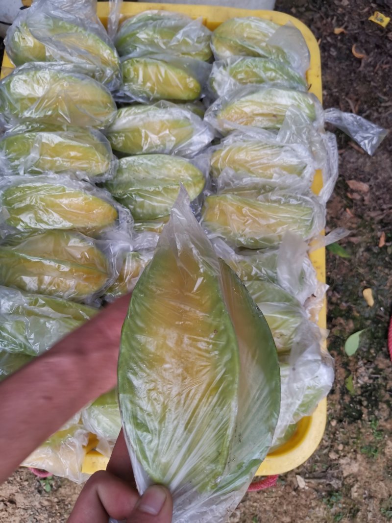 清甜爽口，汁多无渣，产期时间长，欢迎各大电商批发商合作