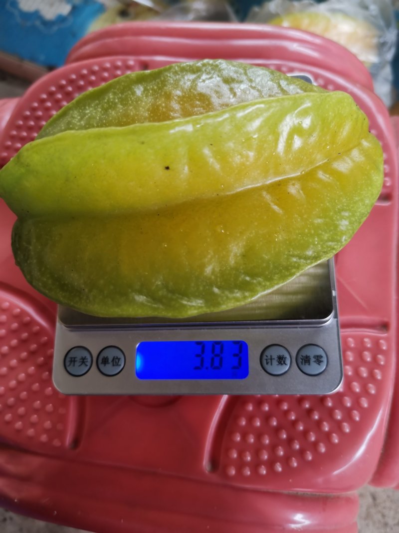 清甜爽口，汁多无渣，产期时间长，欢迎各大电商批发商合作