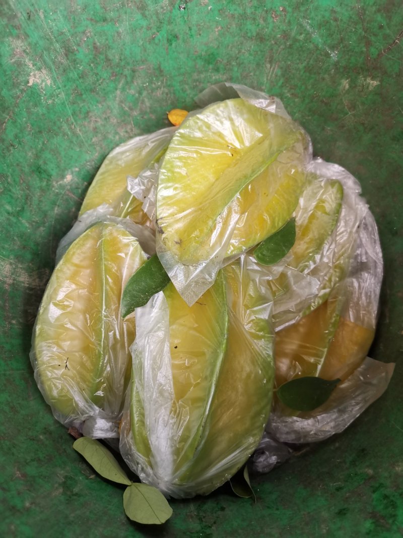 清甜爽口，汁多无渣，产期时间长，欢迎各大电商批发商合作