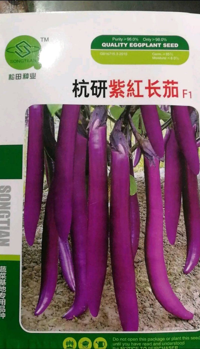 长茄种子杭研紫红长茄种子长势强抗性好坐果能力强