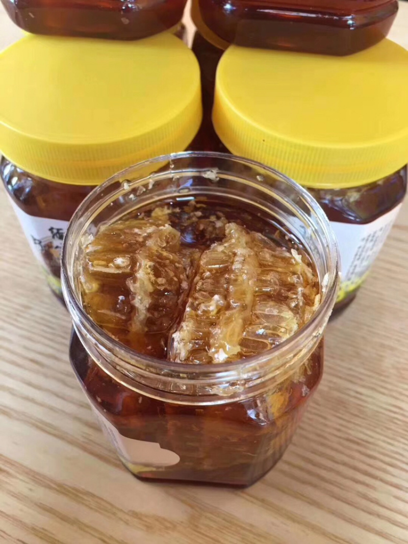 云南大山深处的野生土蜂蜜