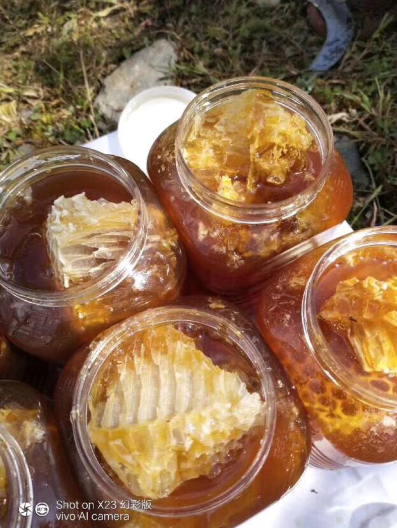 云南大山深处的野生土蜂蜜