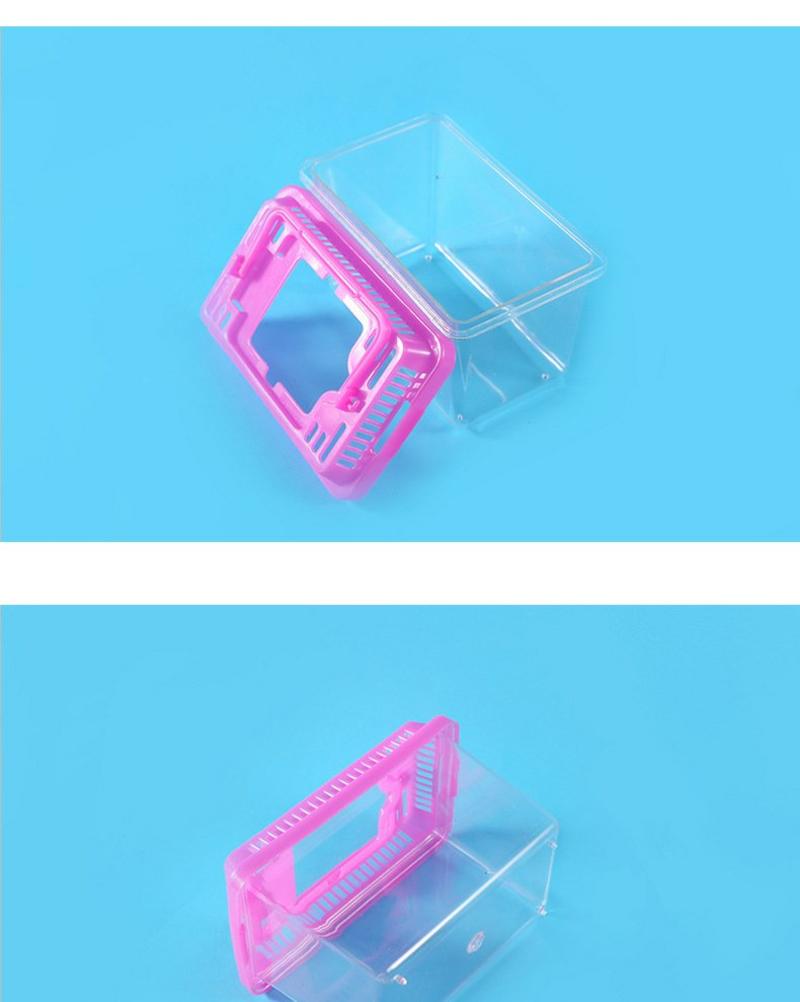 金鱼缸乌龟缸地摊便携式塑料盒乌龟瓶透明小缸带盖彩色水族箱