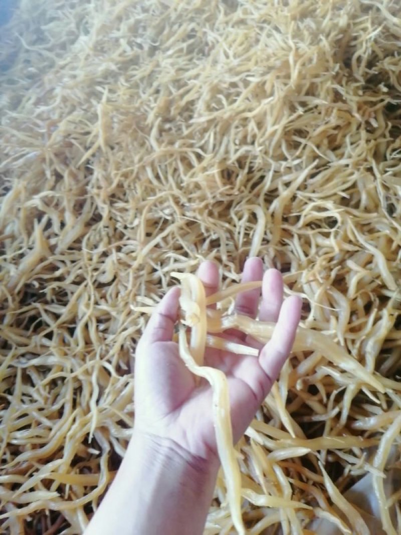 云南大理大天冬成品干货(可检测)