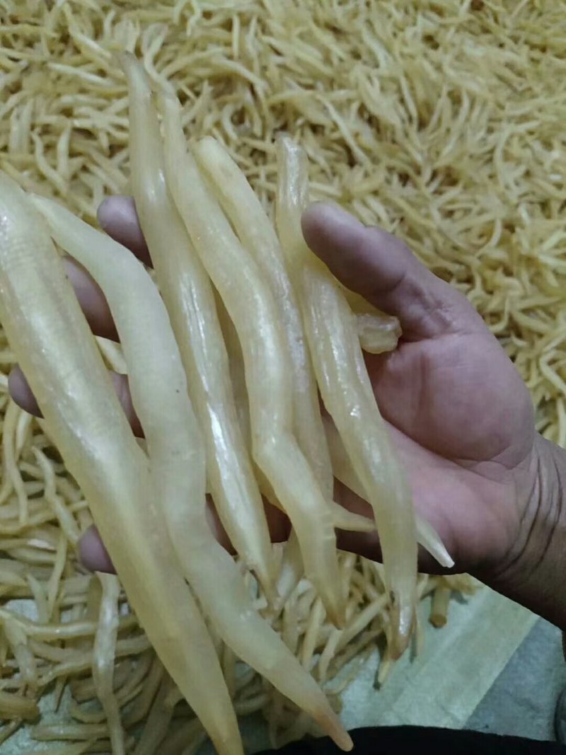 云南大理大天冬成品干货(可检测)