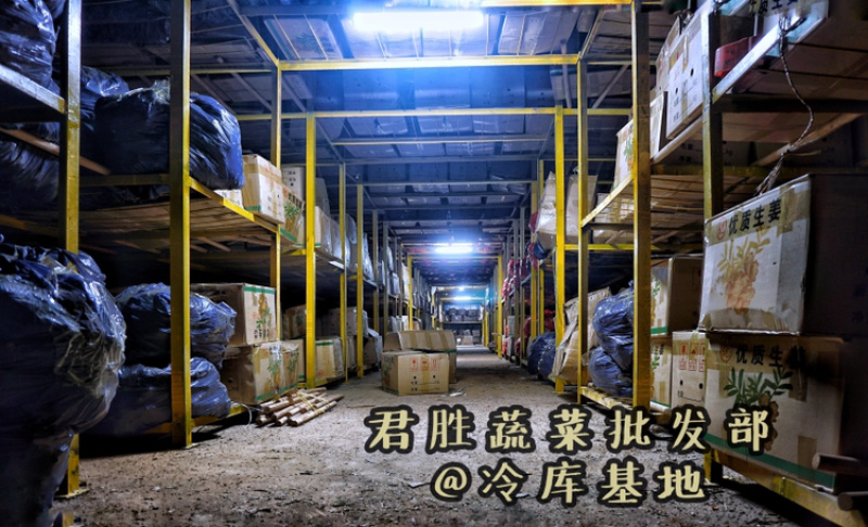 新鲜云南大理独头蒜专业冷库储藏基地直供支持一件代发
