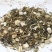 青蒿中草药批发纯净货量大从优承接大货