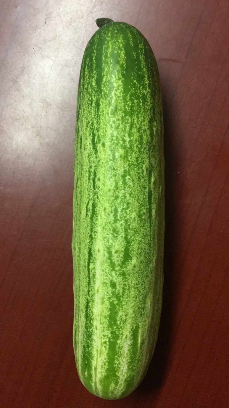 节节吊瓜