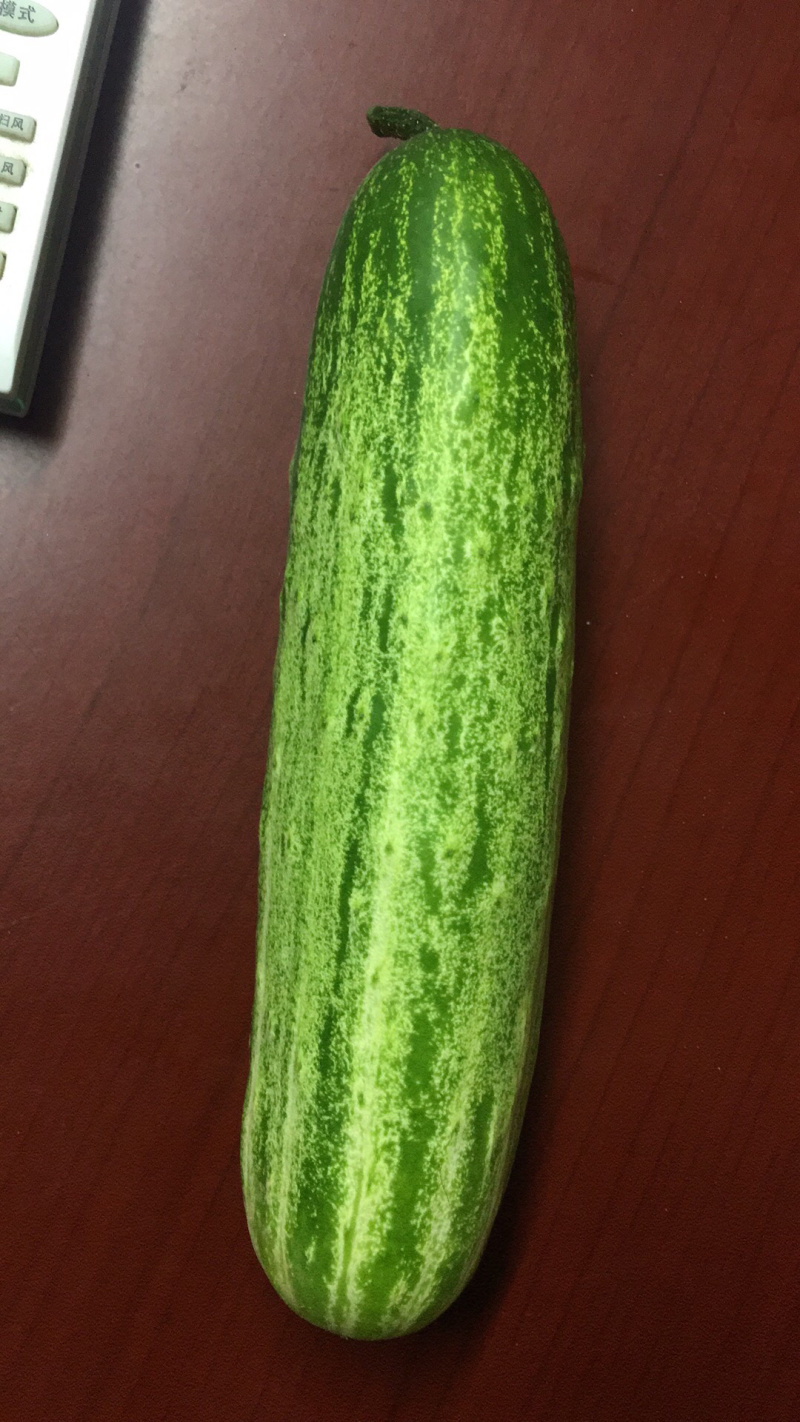 节节吊瓜