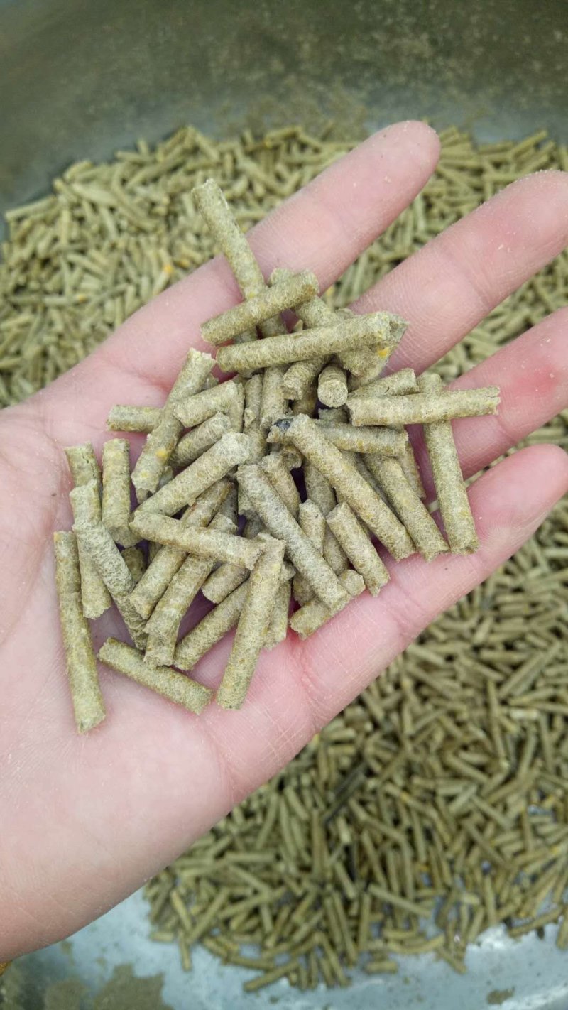 三个压轮，两相电，160型号颗粒机