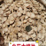 白芍白芍片产地直销量大从优