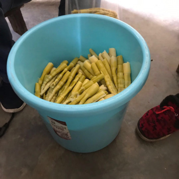 湖北特产新鲜竹笋产地竹山县原生态天然野生食材笋子