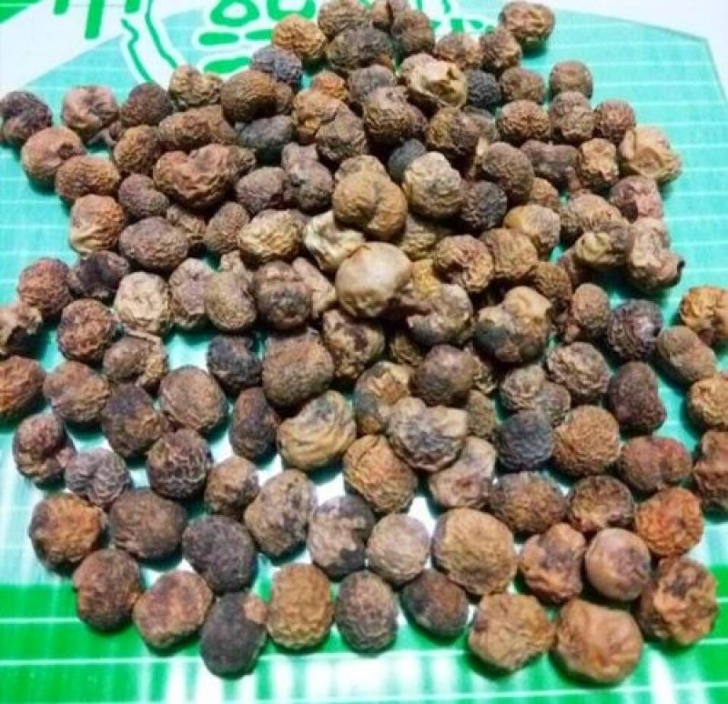 奄闾子，产地直供道地药材药典标准支持线上交易保障