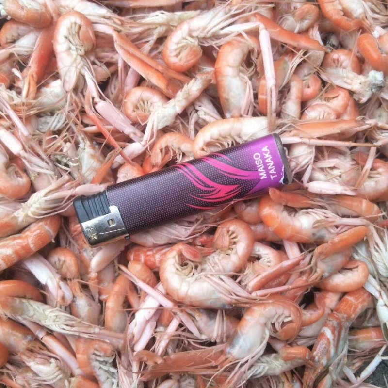 渤海湾狗虾，抓虾，一箱净重13斤左右，微咸。炒菜，做汤