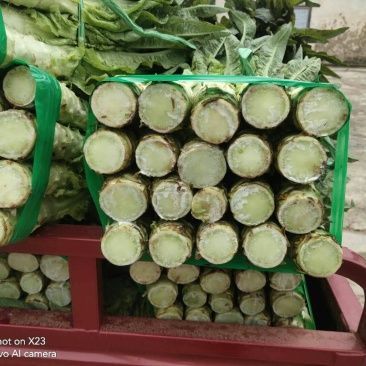 蔬菜，种植基地直供，绿色无污染