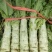蔬菜，种植基地直供，绿色无污染