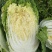 蔬菜，种植基地直供，绿色无污染