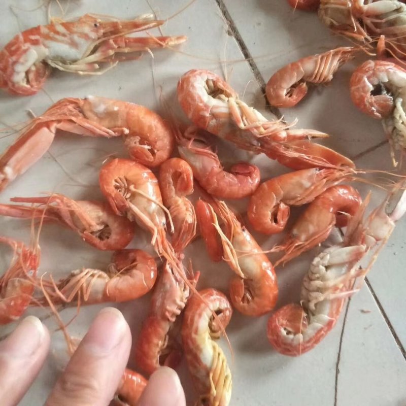 渤海湾狗虾，抓虾，一箱净重13斤左右，微咸。炒菜，做汤
