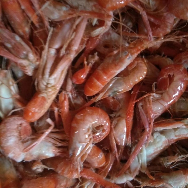 渤海湾狗虾，抓虾，一箱净重13斤左右，微咸。炒菜，做汤