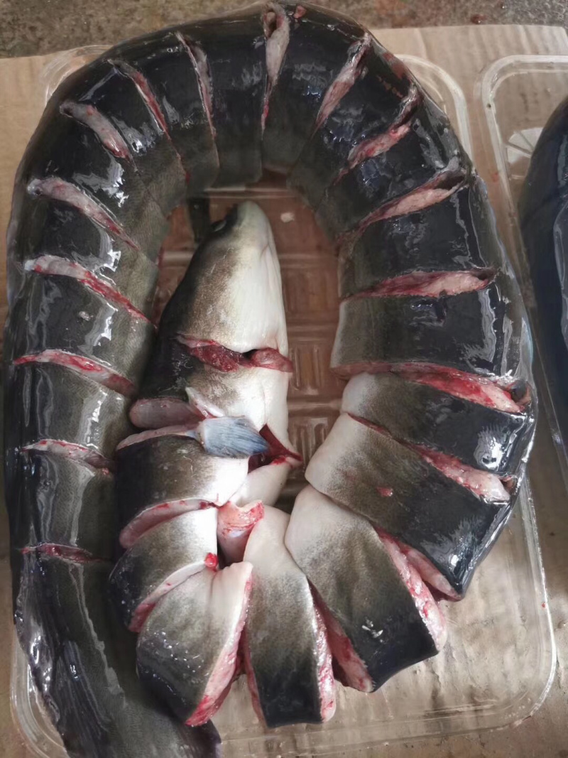 黑鳗鱼，肉质极鲜美，现杀，包装好，只要下单，您说了算