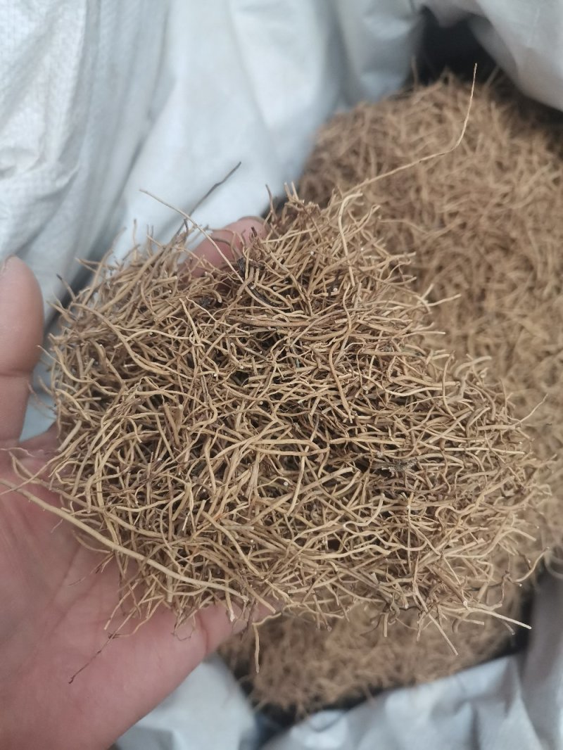 细辛辽细辛规格齐全一公斤起