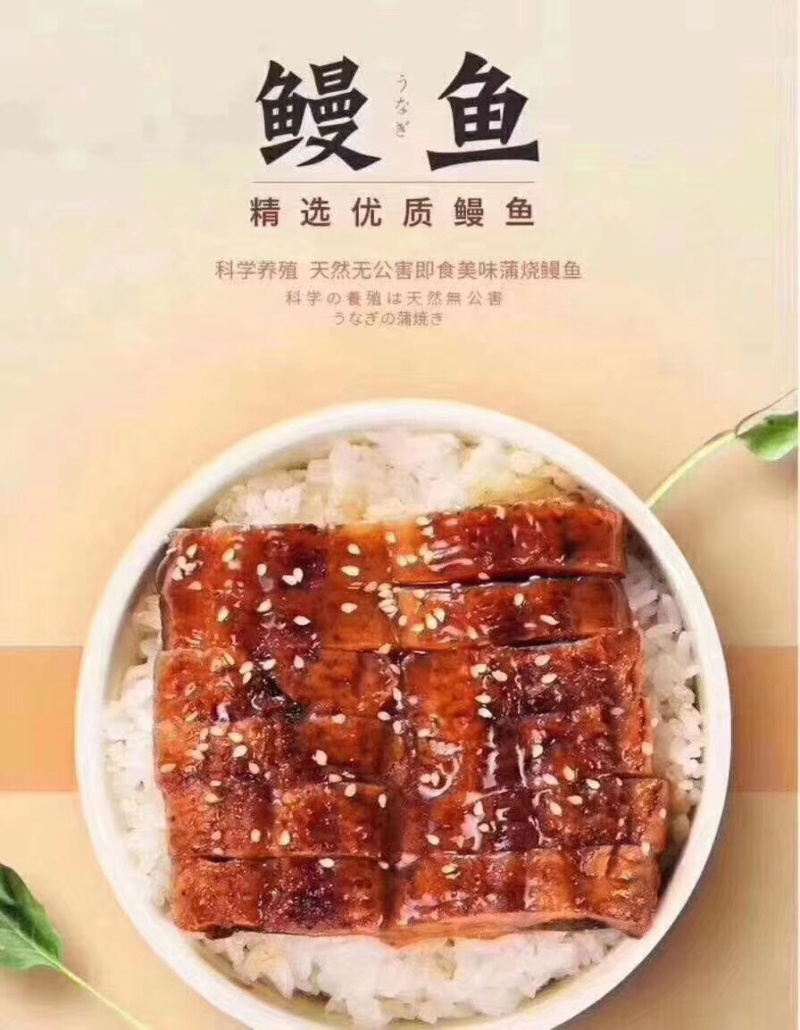 鳗鱼