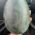 黑美人西瓜