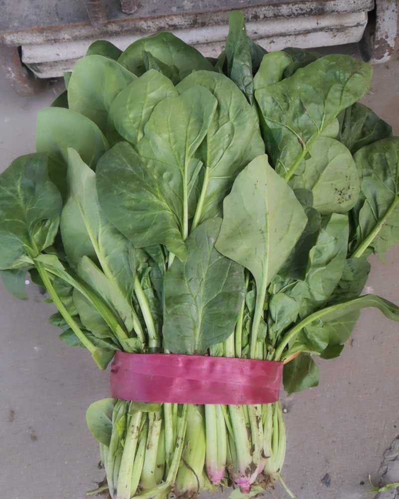 菠菜