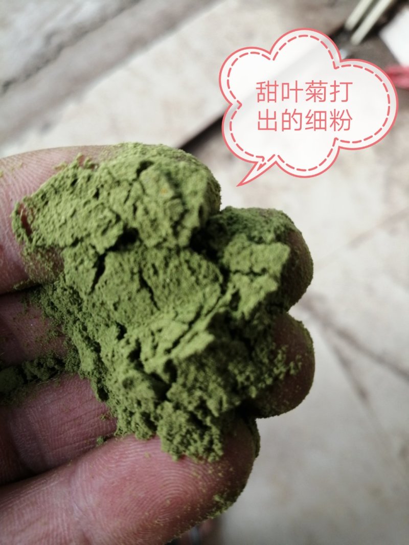 甜叶菊，全叶甜菊叶，小叶、大叶甜叶菊，含糖量高