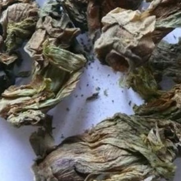 冬葵叶，产地直供道地药材，药典标准支持线上交易保障