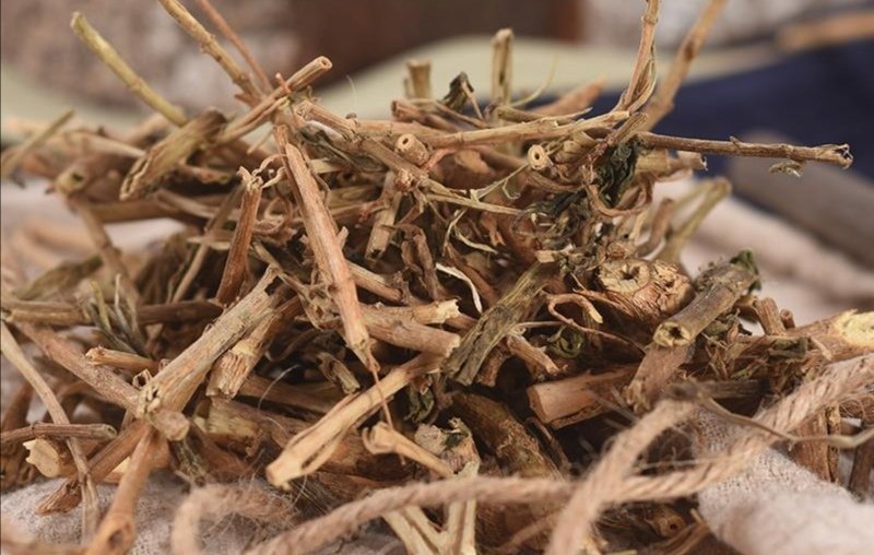 长春花，金盏草产地直供道地药材，药典标准支持线上交易保障