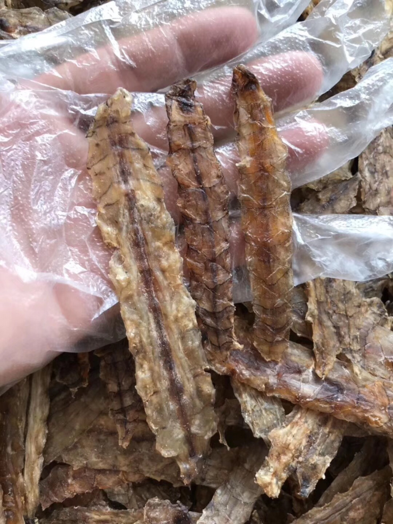 皮皮虾干货，美味可口，煮菜必备更美味