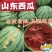 【热卖】西瓜头茬瓜品质好价格低【视频看货代发全国】