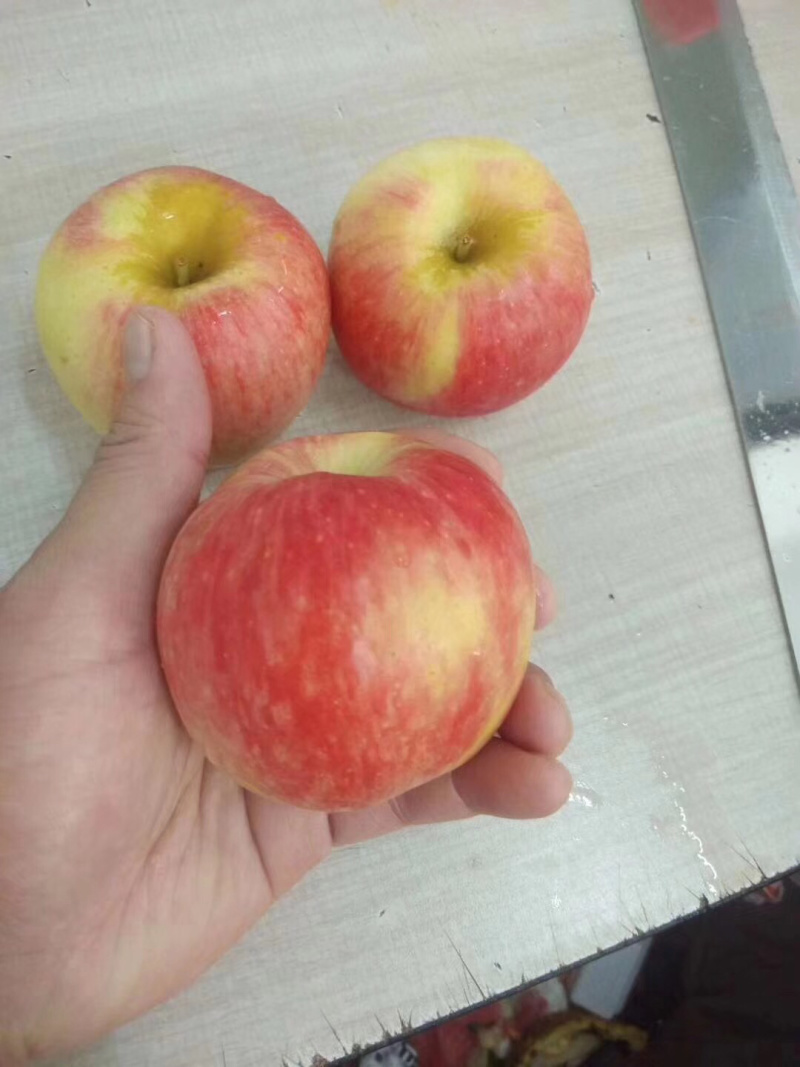 智利神仙果脆甜可口水分足，口感脆甜，颜色均匀