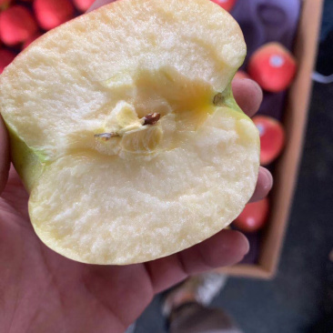 智利神仙果脆甜可口水分足，口感脆甜，颜色均匀