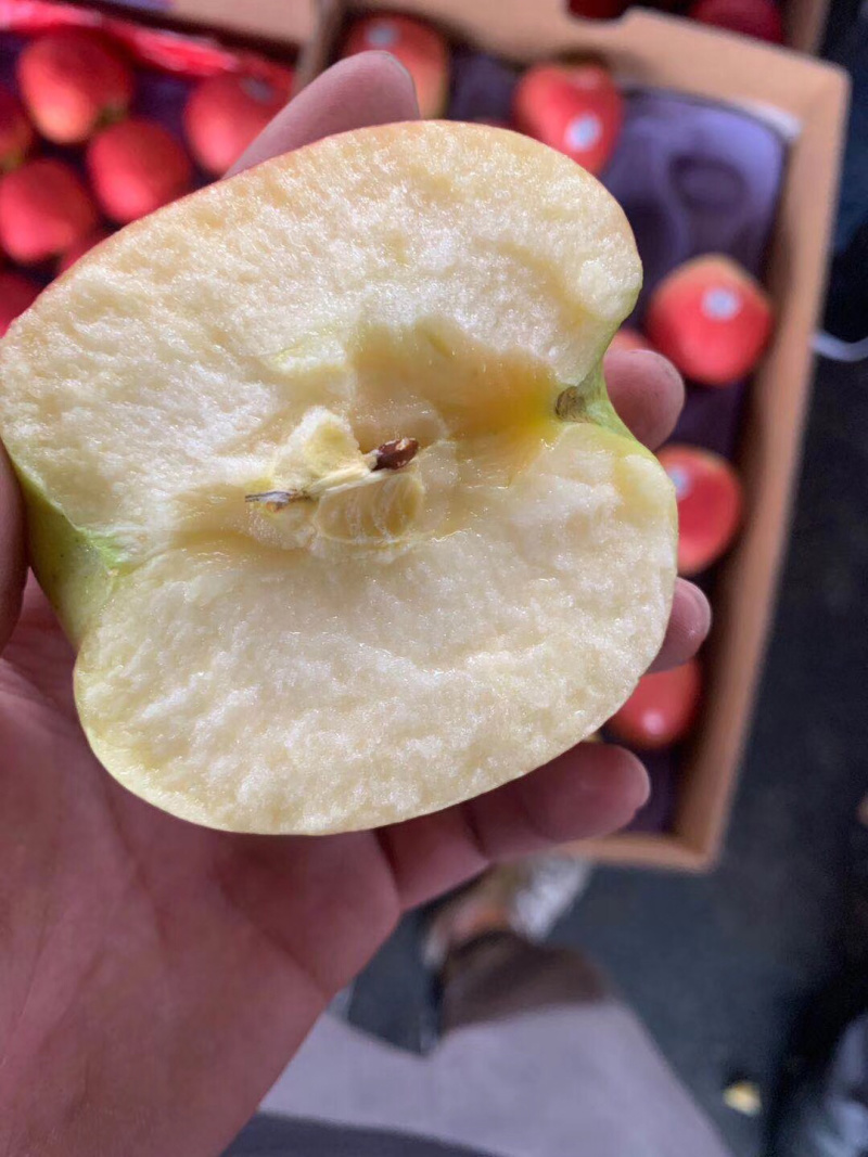 智利神仙果脆甜可口水分足，口感脆甜，颜色均匀
