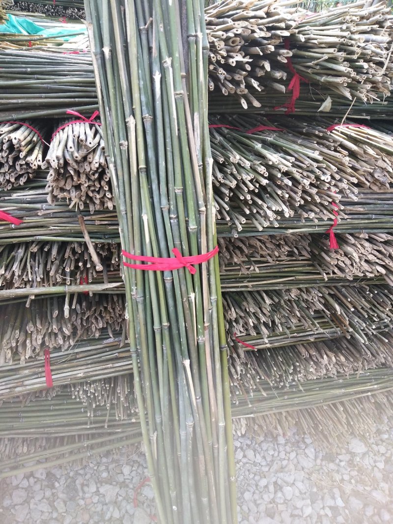 竹竿批发