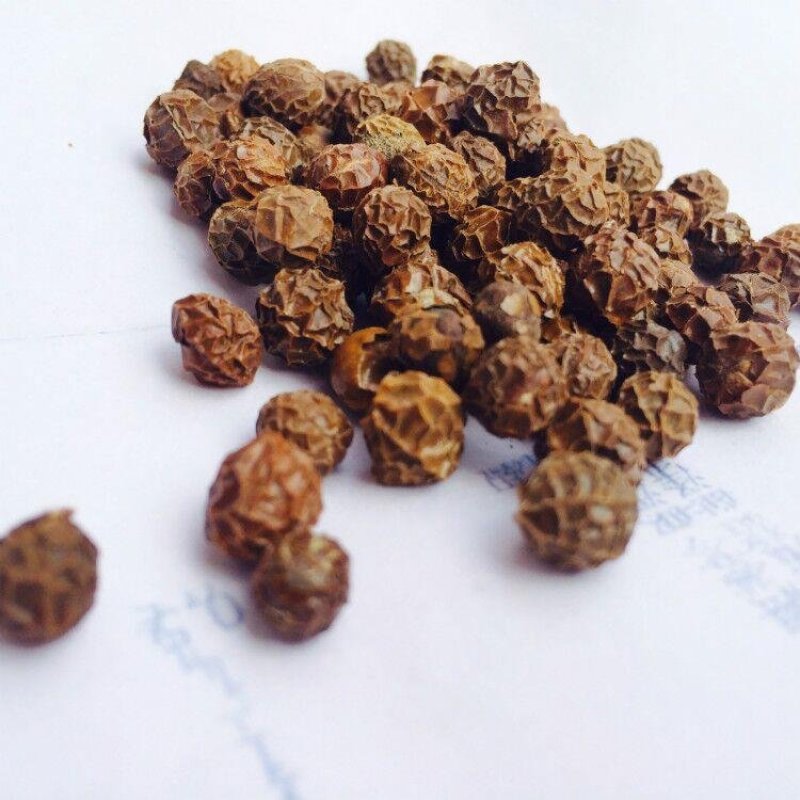 梧桐子，产地直供道地药材，药典标准支持线上交易保障
