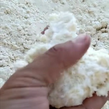 湿豆渣每天生产保证新鲜质量保证欢迎选购